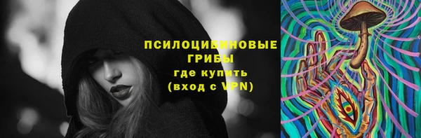 ешки Гусиноозёрск