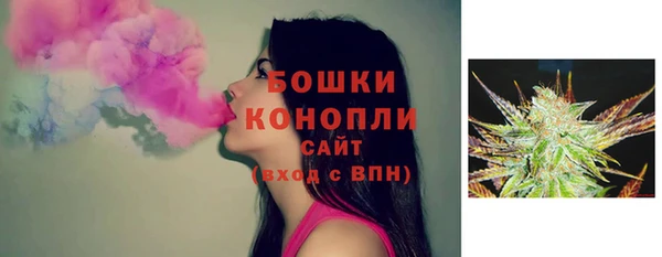 ешки Гусиноозёрск