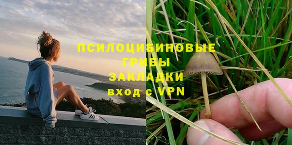 гидропоника Чегем