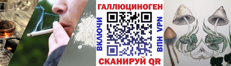 Купить где  Навашино  Псилоцибиновые грибы Psilocybine cubensis 