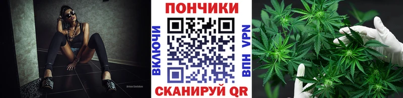 Купить Навашино Бошки марихуана марихуана